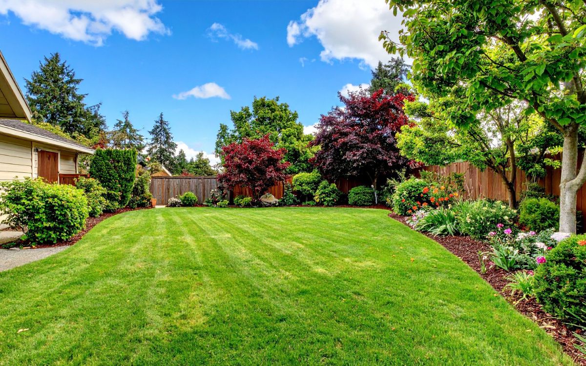 diseño de jardines para casas